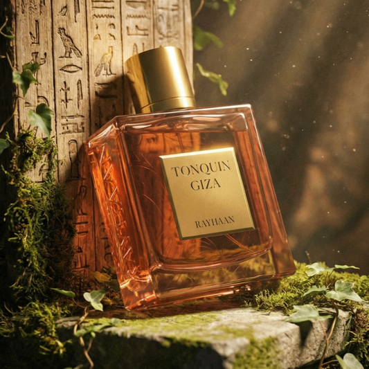 Tonquin Giza 100ml EDP by Rayhaan